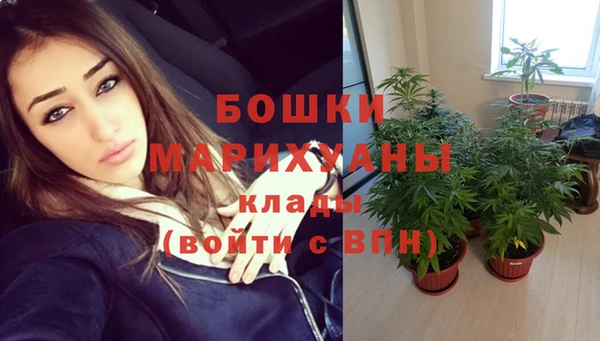 ALPHA PVP Заволжье