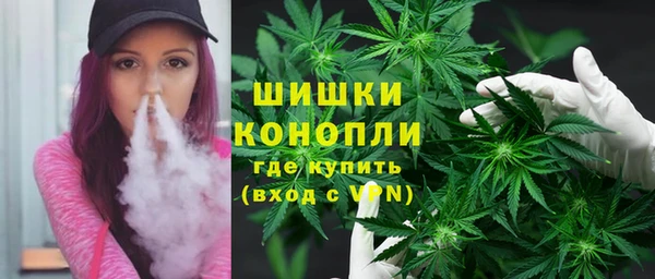 шишки Заволжск