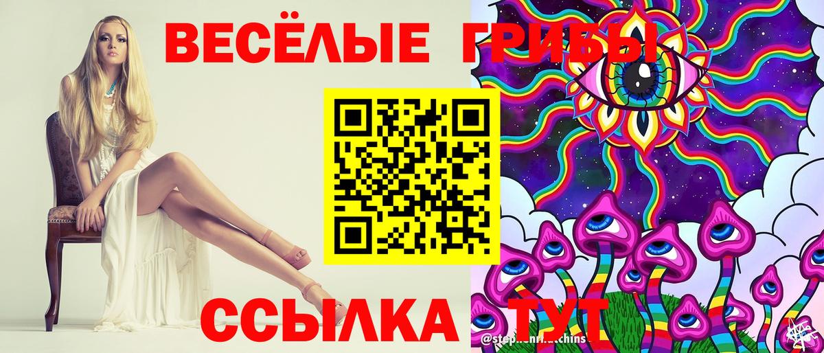 Псилоцибиновые грибы мицелий Саянск